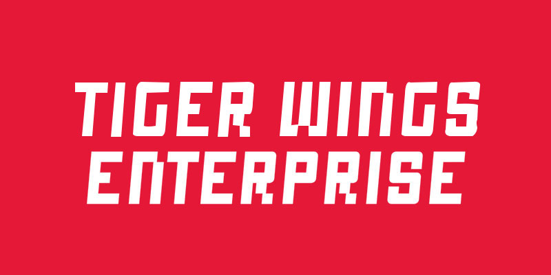 Logo Tiger Wings Enterprise
